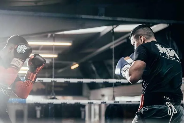 Bokser slaat op de pads tijdens de training